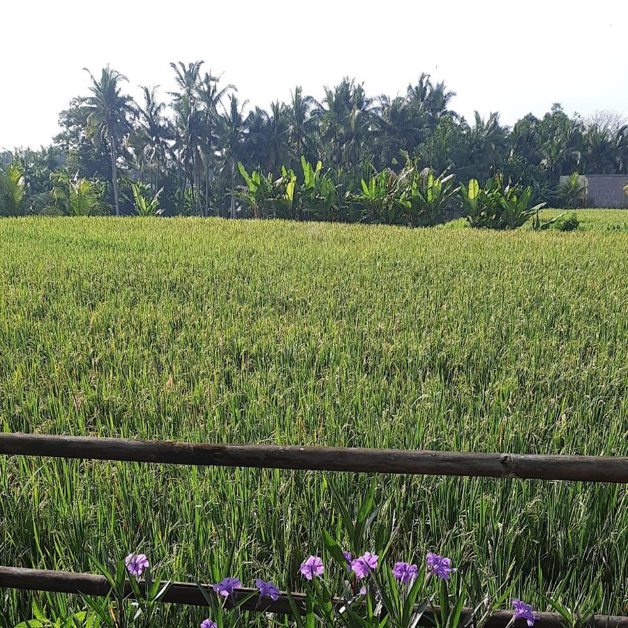 Pb Pondok Gandalangu Garden House Bali أوبود المظهر الخارجي الصورة
